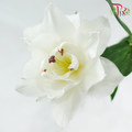 Rose Lily (4+) - Angel White / Polaris / Snowstorm / Snow White / Essar / Polaris / Skis (5 Stems)