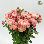 Rose Spray Butterfly - Juliet Tower (Per Bunch)