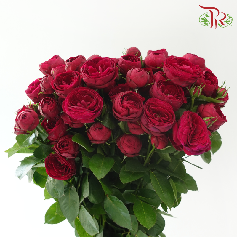 Rose Spray Butterfly - Mulberry Purple (Per Bunch)