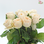 Rose Juliet - Theresa / Elena (10 Stems)