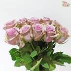 Rose (50cm) - Samantha Bridal (10 Stems)
