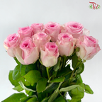 Rose - Roselle (10 Stems)