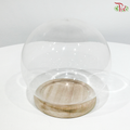 Round Cloche Bell Jar (Y252222)