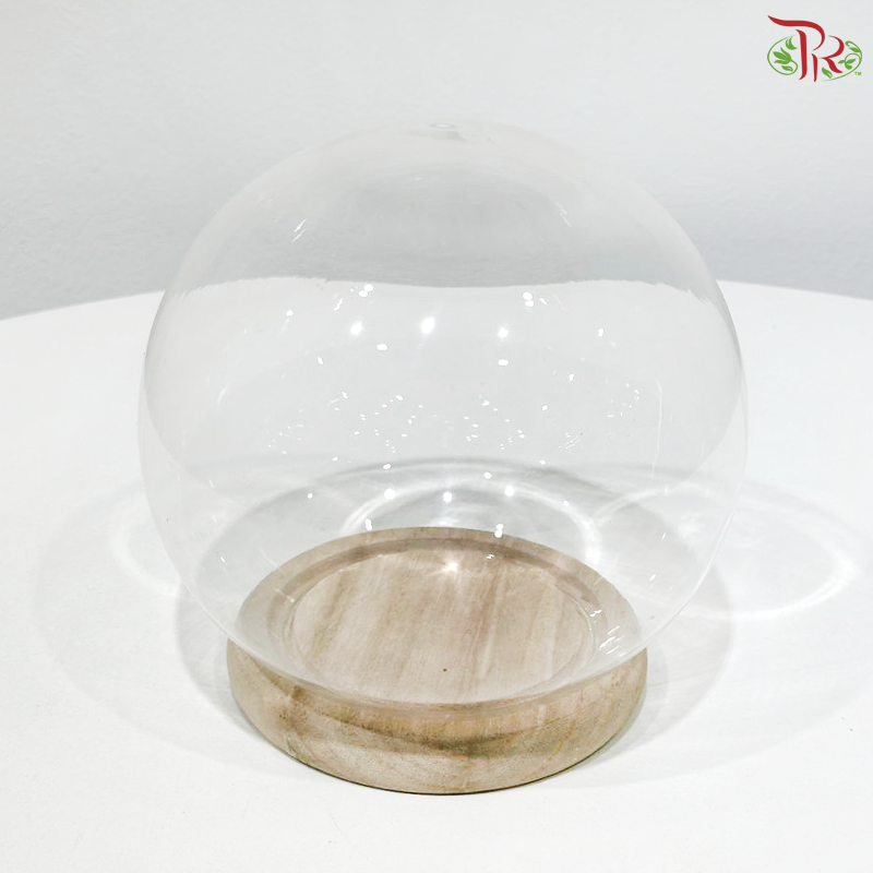 Round Cloche Bell Jar (Y252222)