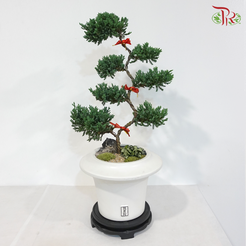 Round Wooden Rotating Base