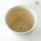 SB-C-02 White Pot