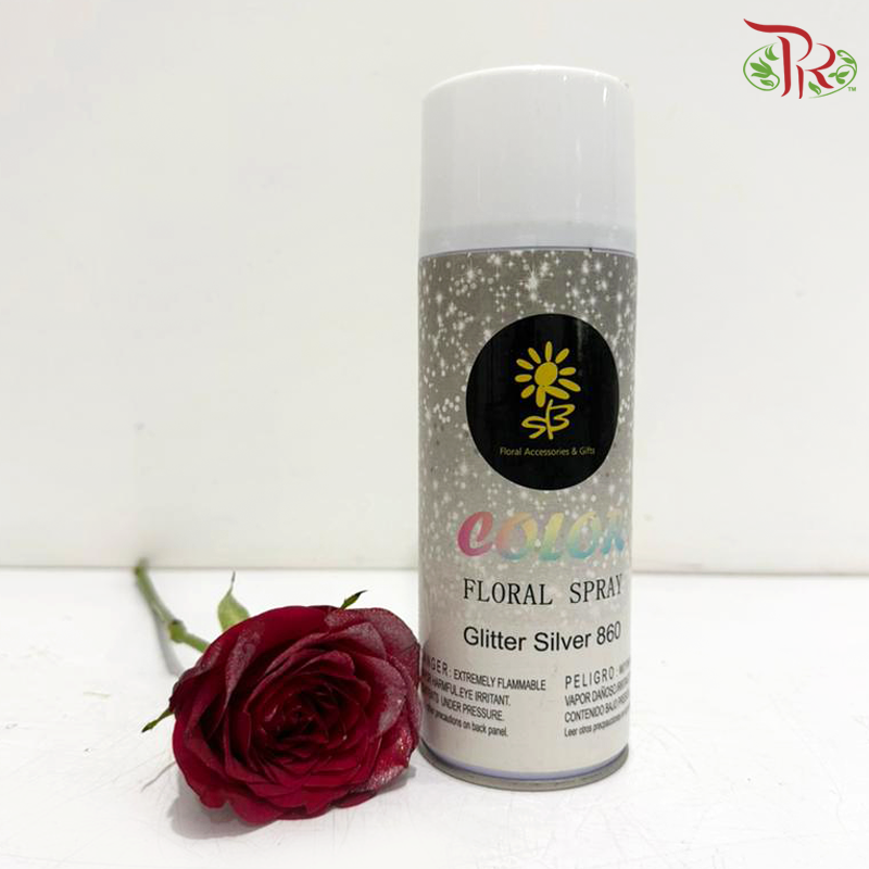 SB Spray - Glitter Silver (860)