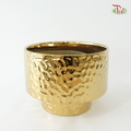 SSJ-1001 Gold Pot
