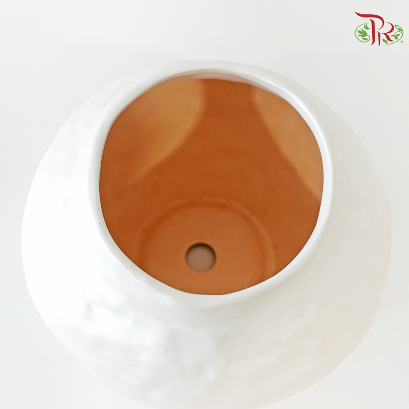 SSJ-23-81 Pearl White Pot