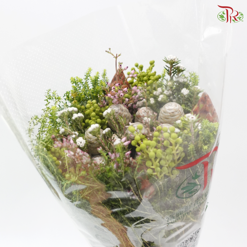 Safari Cape Cone Mix Bouquet - #34 (Per Bunch) (**Random Choose Cone / Fillers)