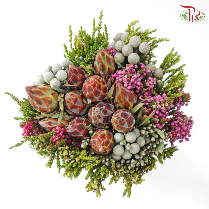 Safari Cape Cone Mix Bouquet - #36 (Per Bunch) (**Random Choose Cone / Fillers)