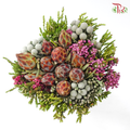 Safari Cape Cone Mix Bouquet - #36 (Per Bunch) (**Random Choose Cone / Fillers)