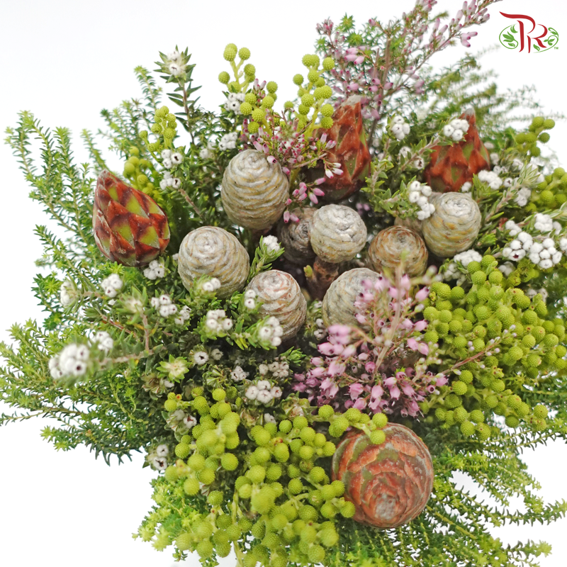 Safari Cape Cone Mix Bouquet - #34 (Per Bunch) (**Random Choose Cone / Fillers)
