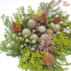 Safari Cape Cone Mix Bouquet - #34 (Per Bunch) (**Random Choose Cone / Fillers)