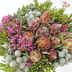 Safari Cape Cone Mix Bouquet - #36 (Per Bunch) (**Random Choose Cone / Fillers)