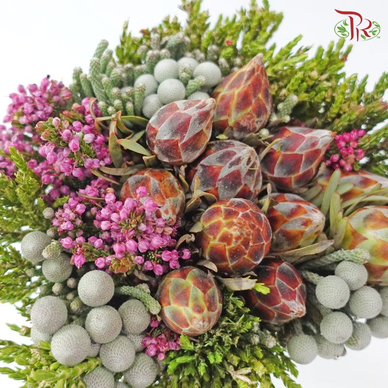 Safari Cape Cone Mix Bouquet - #36 (Per Bunch) (**Random Choose Cone / Fillers)