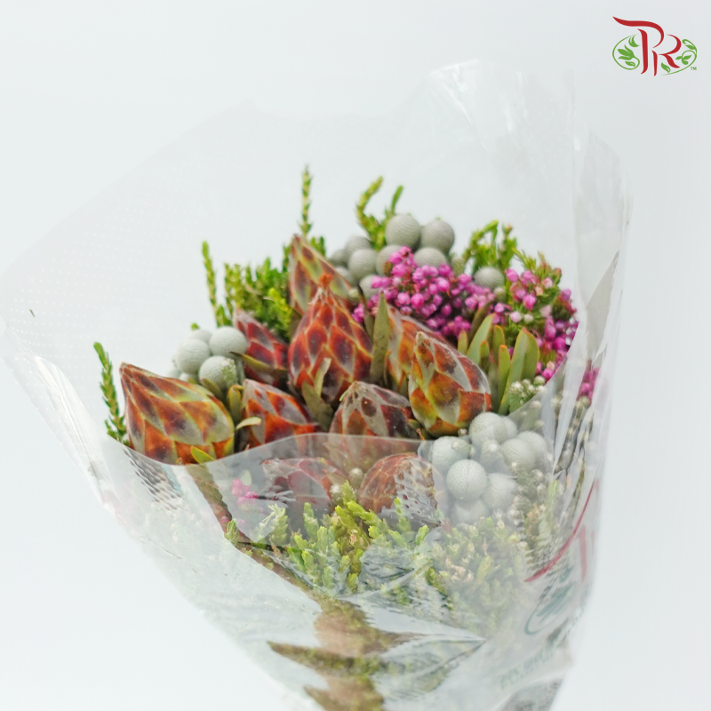 Safari Cape Cone Mix Bouquet - #36 (Per Bunch) (**Random Choose Cone / Fillers)
