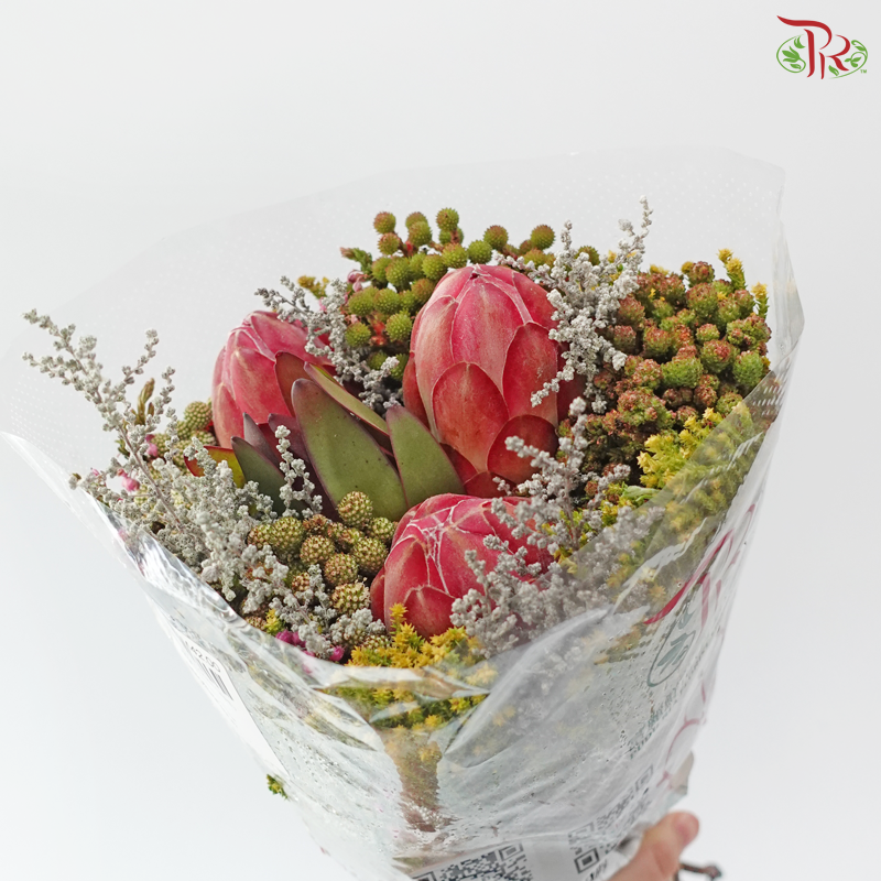 Safari Cape Cone Mix Bouquet - #37 (Per Bunch) (**Random Choose Cone / Fillers)