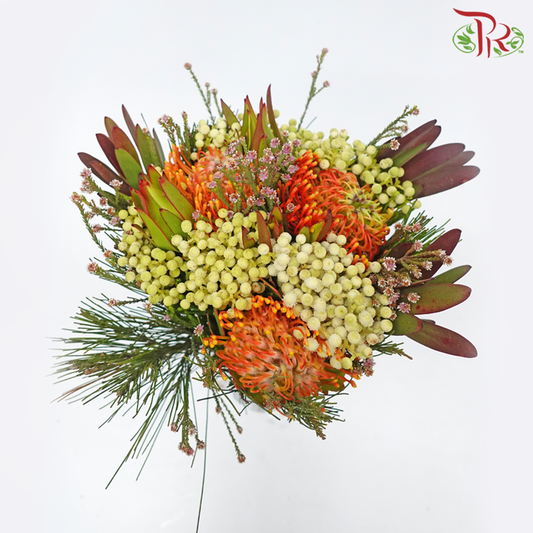 Safari Leucospermum Bouquet - Orange (Per Bunch) - Pudu Ria Florist
