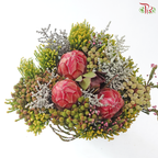 Safari Cape Cone Mix Bouquet - #37 (Per Bunch) (**Random Choose Cone / Fillers)