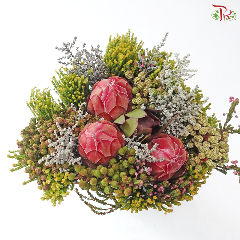 Safari Cape Cone Mix Bouquet - #37 (Per Bunch) (**Random Choose Cone / Fillers)