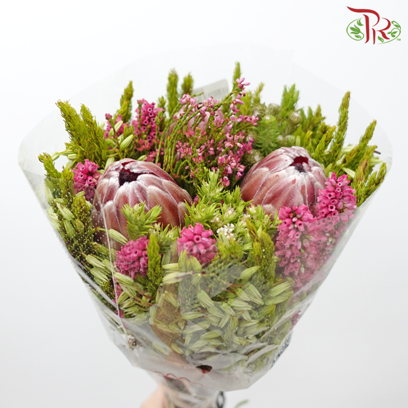 Safari Premium Bouquet - #16 (Per Bunch) ** Random Choose Cones / Fillers