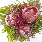Safari Premium Bouquet (Carousel / Hybrid) - #35 (Per Bunch)