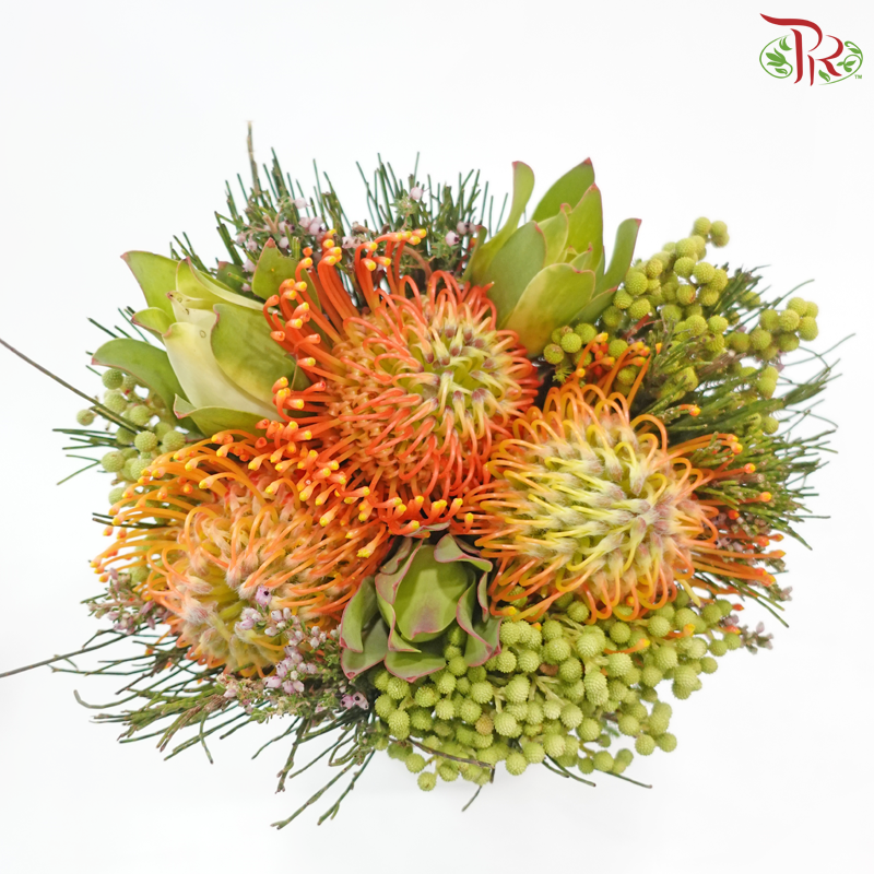 Safari Premium Bouquet (Carousel / Hybrid) - #36 (Per Bunch)