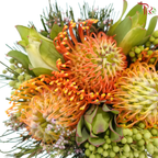 Safari Premium Bouquet (Carousel / Hybrid) - #36 (Per Bunch)