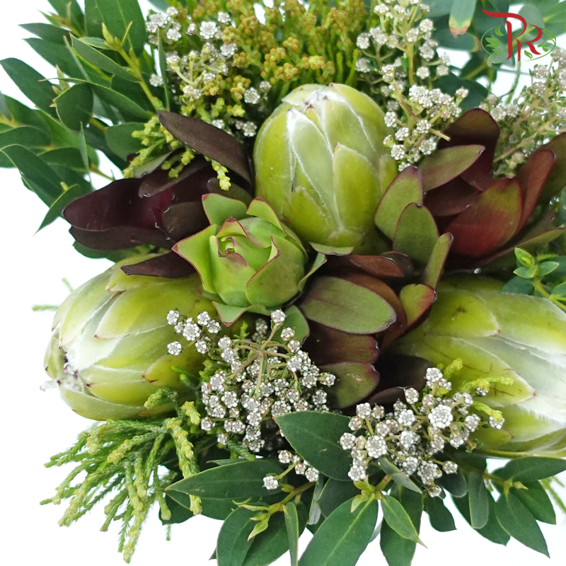 Safari Premium Bouquet - #17 (Per Bunch) ** Random Choose Cones / Fillers