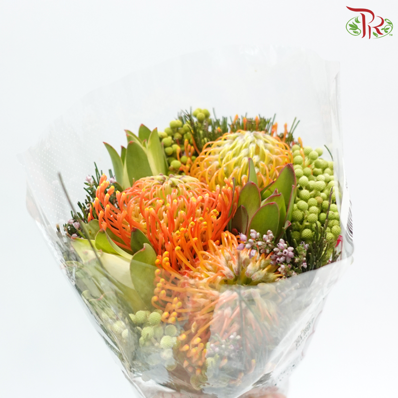 Safari Premium Bouquet (Carousel / Hybrid) - #36 (Per Bunch)