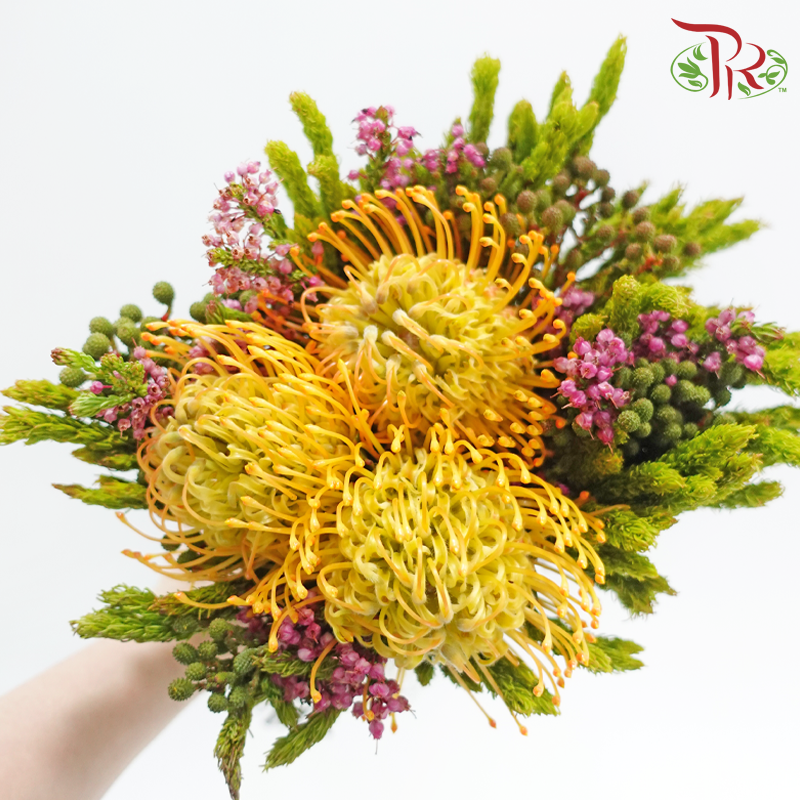 Safari Leucospermum Bouquet - Orange With Yellow (Per Bunch) **Random Choose Cone/Fillers