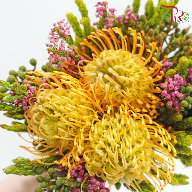 Safari Leucospermum Bouquet - Orange With Yellow (Per Bunch) **Random Choose Cone/Fillers