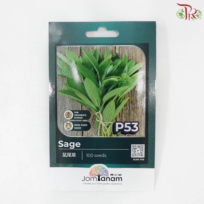 【Jom Tanam Seeds】Herbs Series (Per Pack) (With Options)
