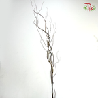 Salix Natural (Per Bunch)