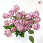 Rose Scented - Lavender Bubble (6 Stems)