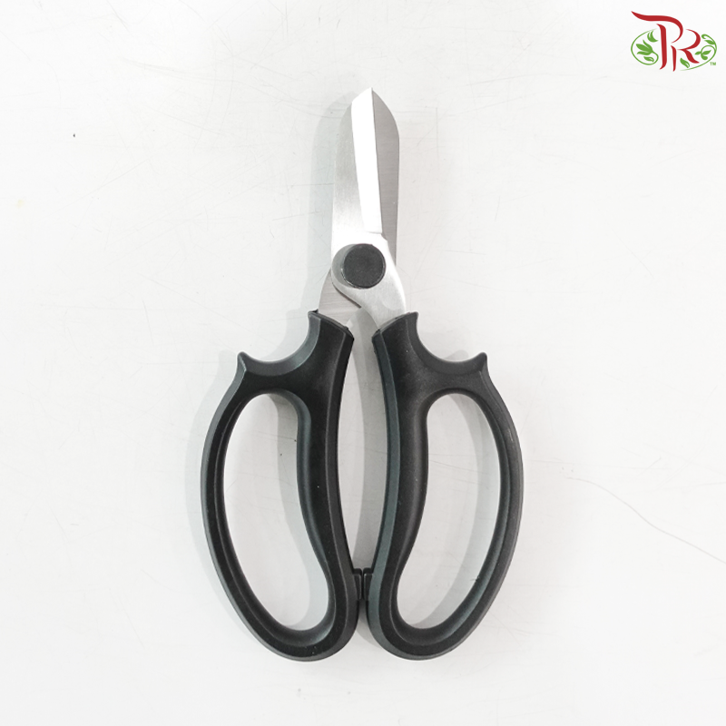 Scissor 401 (Round Head)