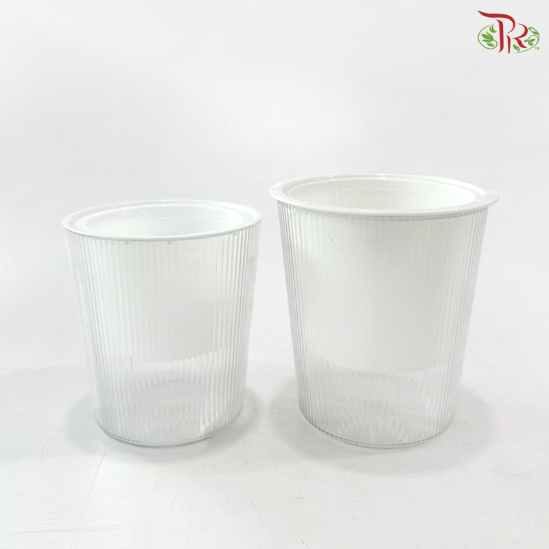 Self Watering Pot (With Size)