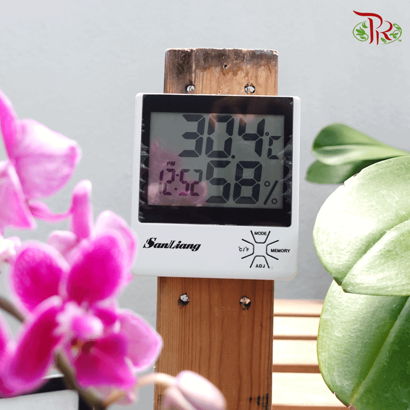 Digital Thermometer Hygrometer 温度湿度计 - Pudu Ria Florist