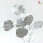 Preserved Eucalyptus Silver Dollar Bleached - Silver (Per Bunch)