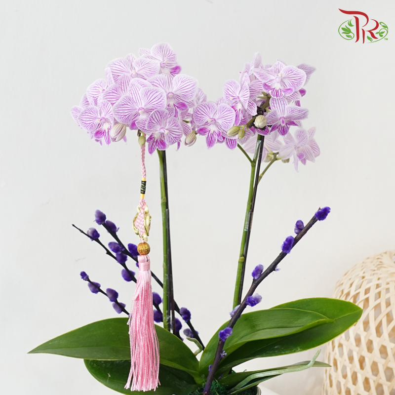 【RAYA 2026】Sinar Aidil