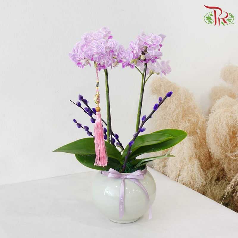 【RAYA 2026】Sinar Aidil