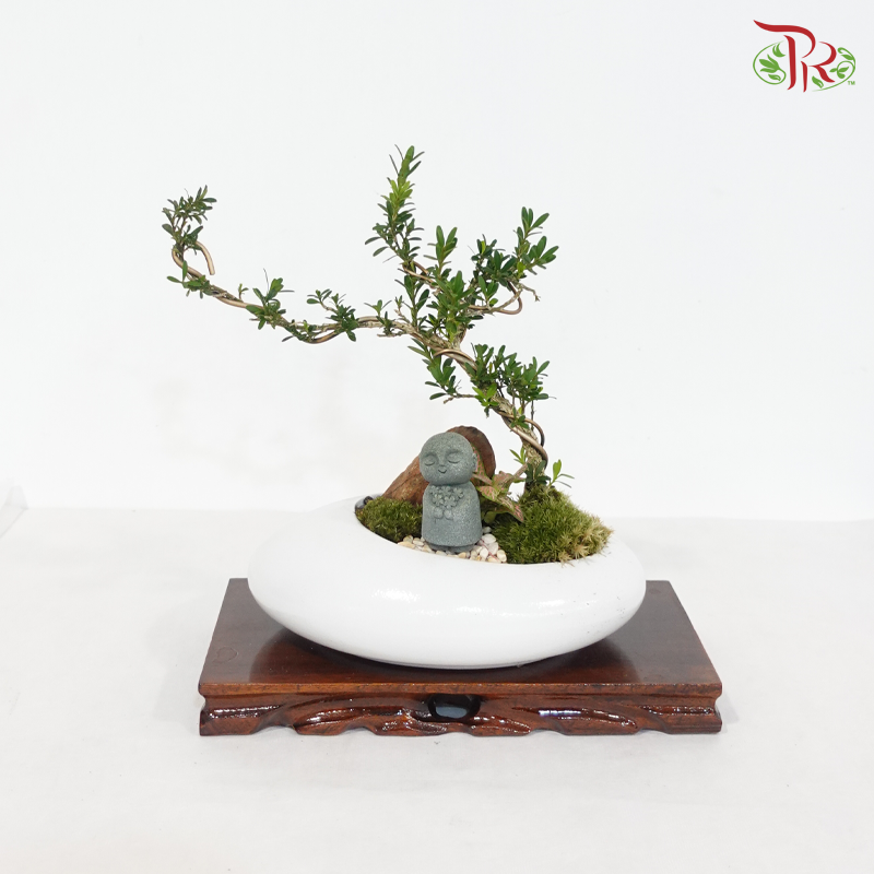 Small Rectangular Wood Base