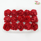 Carnation Soap Flower - ( 15 Blooms ) ( With Options )