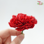 Carnation Soap Flower - ( 15 Blooms ) ( With Options )