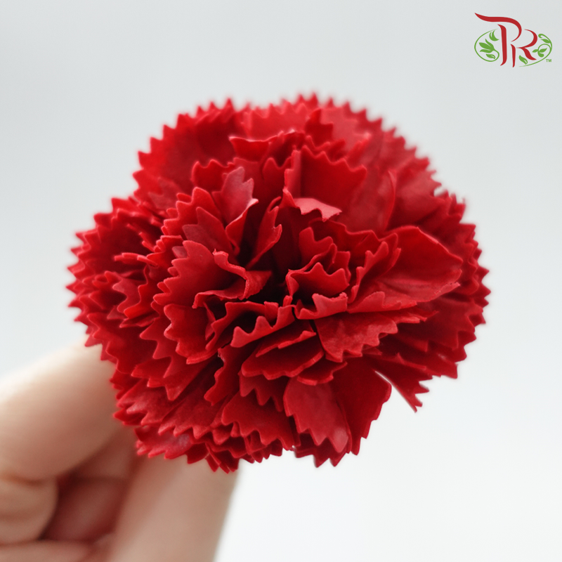 Carnation Soap Flower - ( 15 Blooms ) ( With Options )