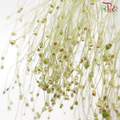 Soft Silk - (Per Bunch)