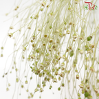 Soft Silk - (Per Bunch)
