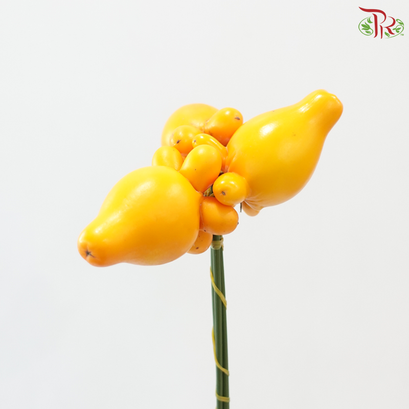 Solanum Biocolor (Per Stem)