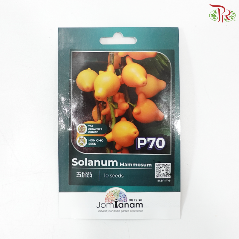 【Jom Tanam Seeds】Fruity Vegetable Series - Eggplant (Per Pack) (With Options)